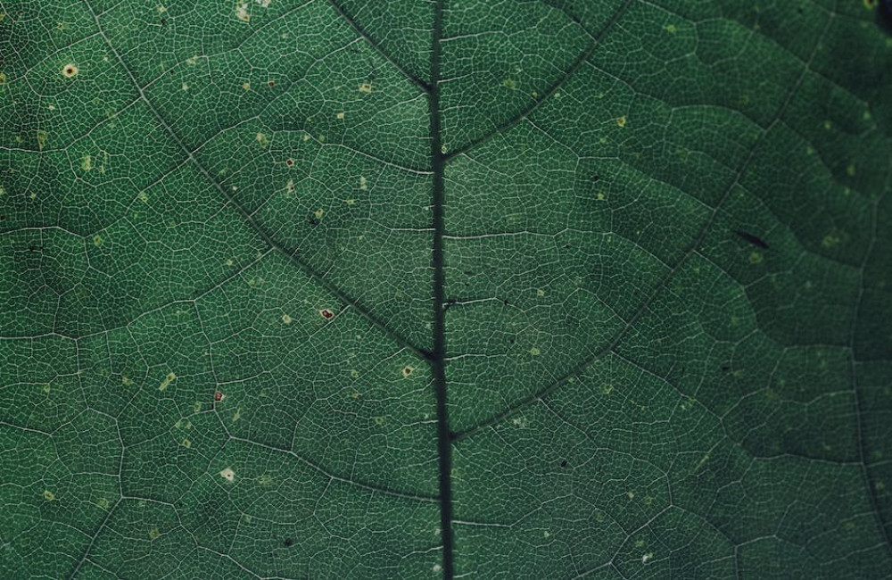 Hoe bouw je als mkb-bedrijf een zakelijk merk op LinkedIn zonder advertenties