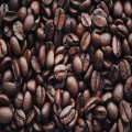 Waar kun je de beste koffie halen?