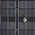 Zonnepanelen op jouw bedrijf? 5 tips!