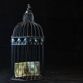 Wat betekent ‘cashflow’ precies? Alles over liquiditeit uitgelegd